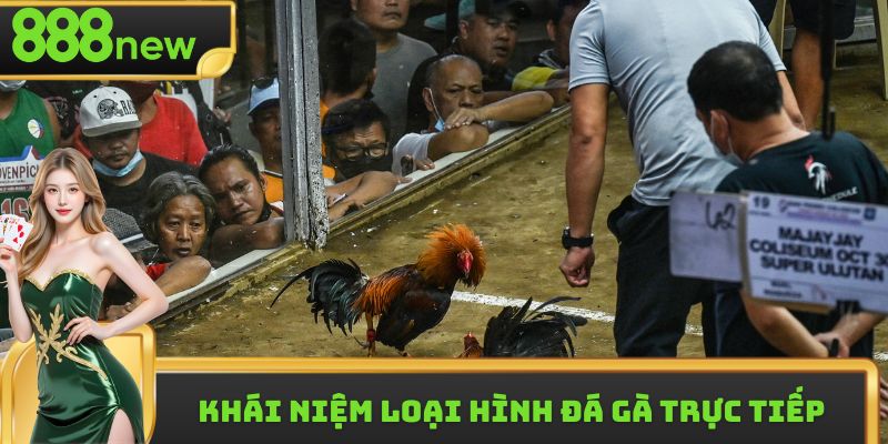 Khái niệm loại hình đá gà trực tiếp